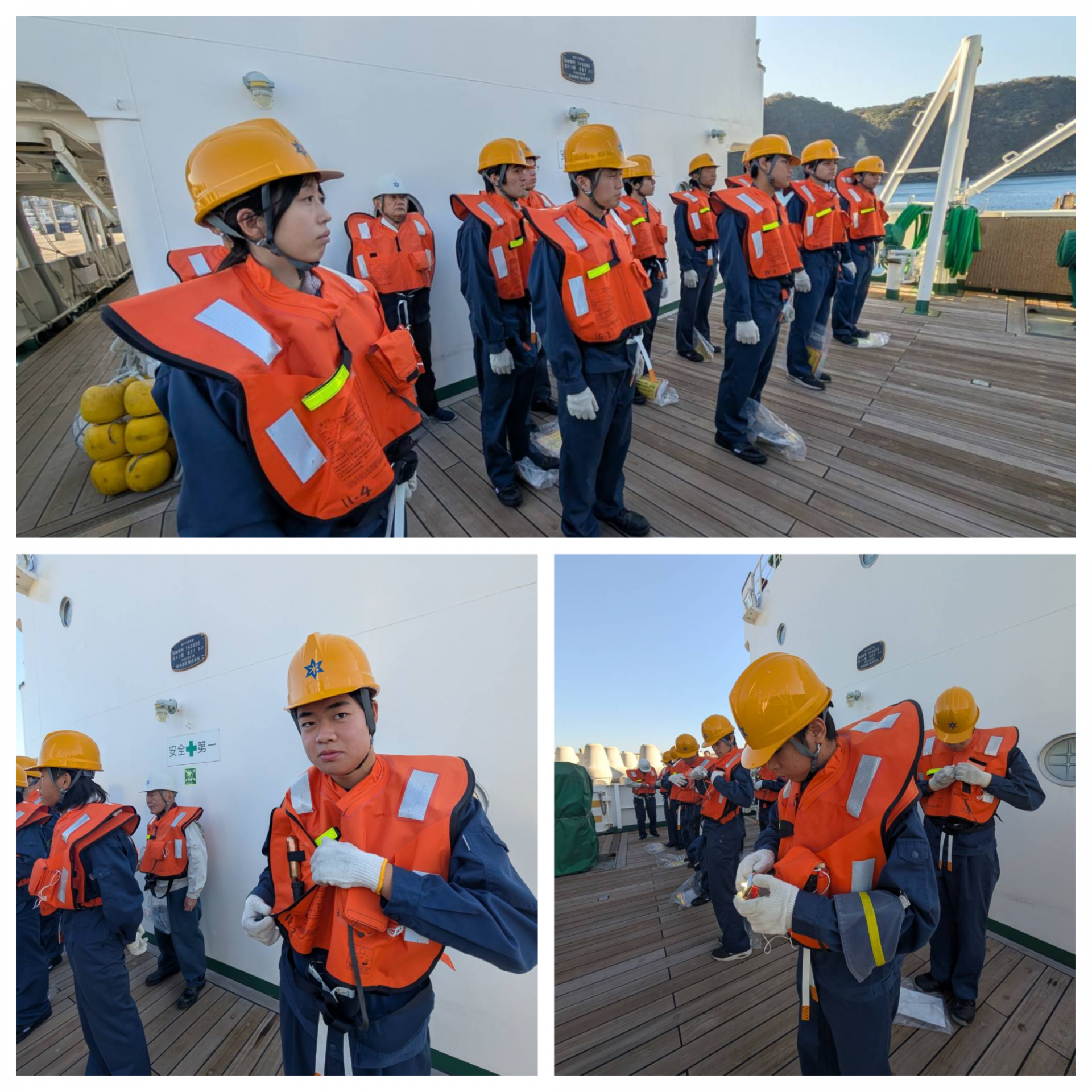 Blank 3 Grids Collage - 2025-12-08T125116.896